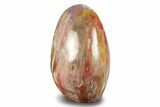 Free-Standing, Polished Petrified Wood - Madagascar #246109-2